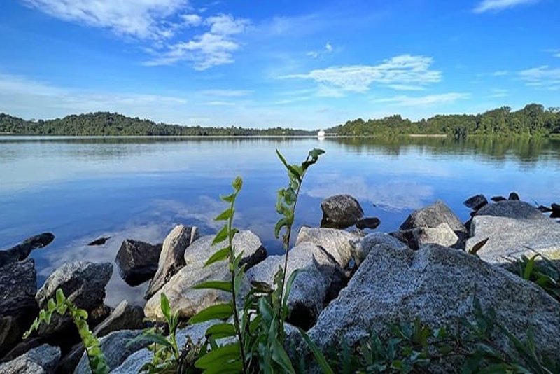 Upper Peirce Reservoir park (Park by the Reservoir)